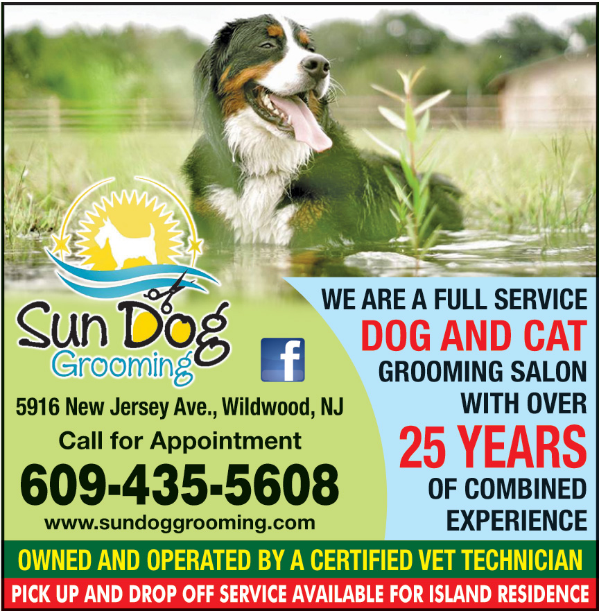 WE ARE A FULL SERVICE DOG AND CAT GROOMING SALON Online Printable