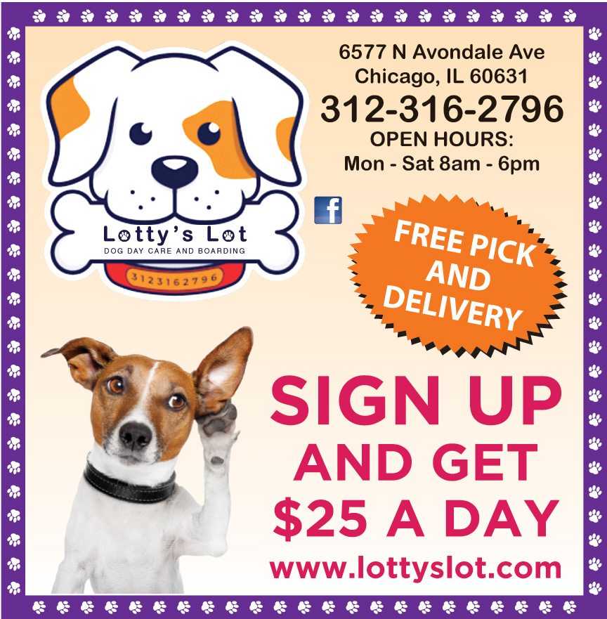 A DOGS ENTERTAINMENT