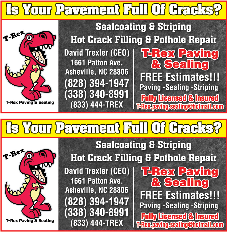 T REX PAVING AND SEALING