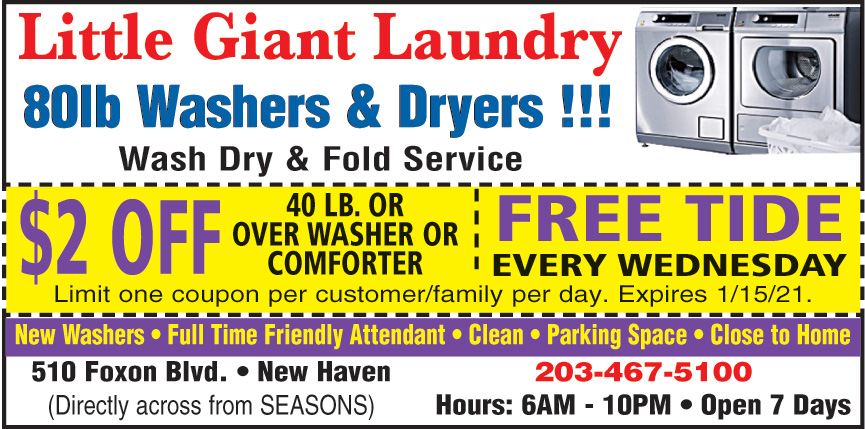 LITTLE GIANT LAUNDRY