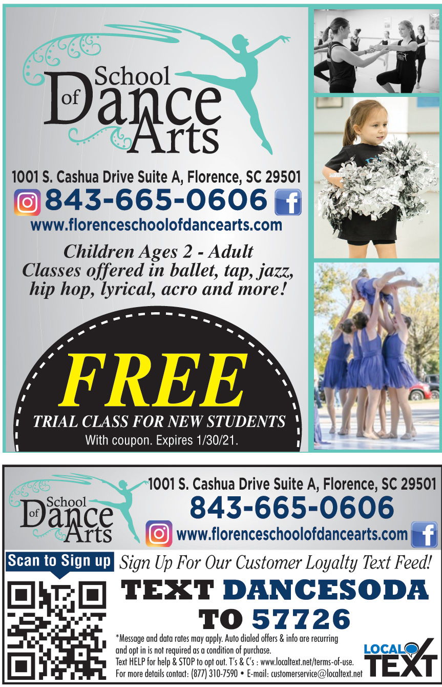 SCHOOL OF DANCE ARTS LLC