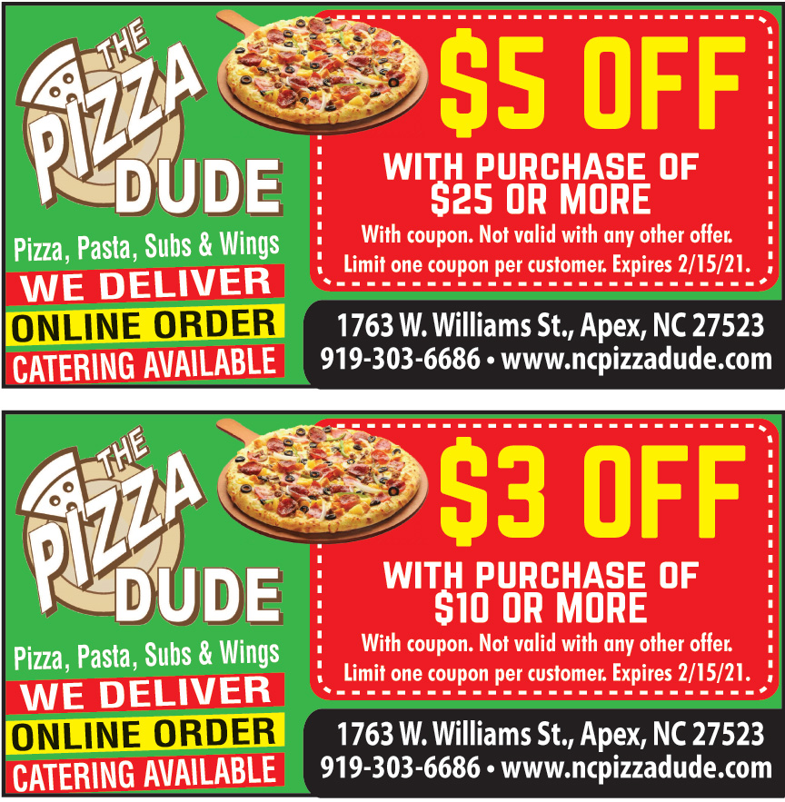 THE PIZZA DUDE
