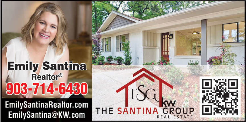 THE SANTINA GROUP