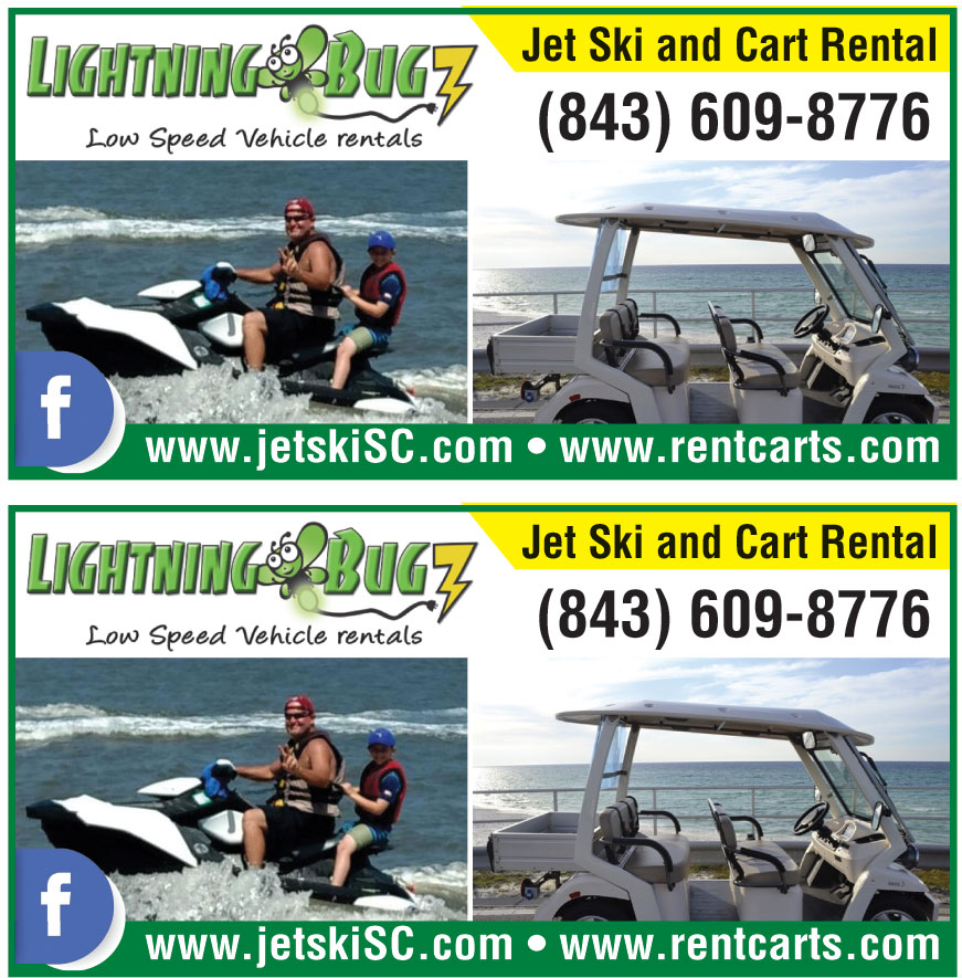 LIGHTNING BUGZ RENTALS