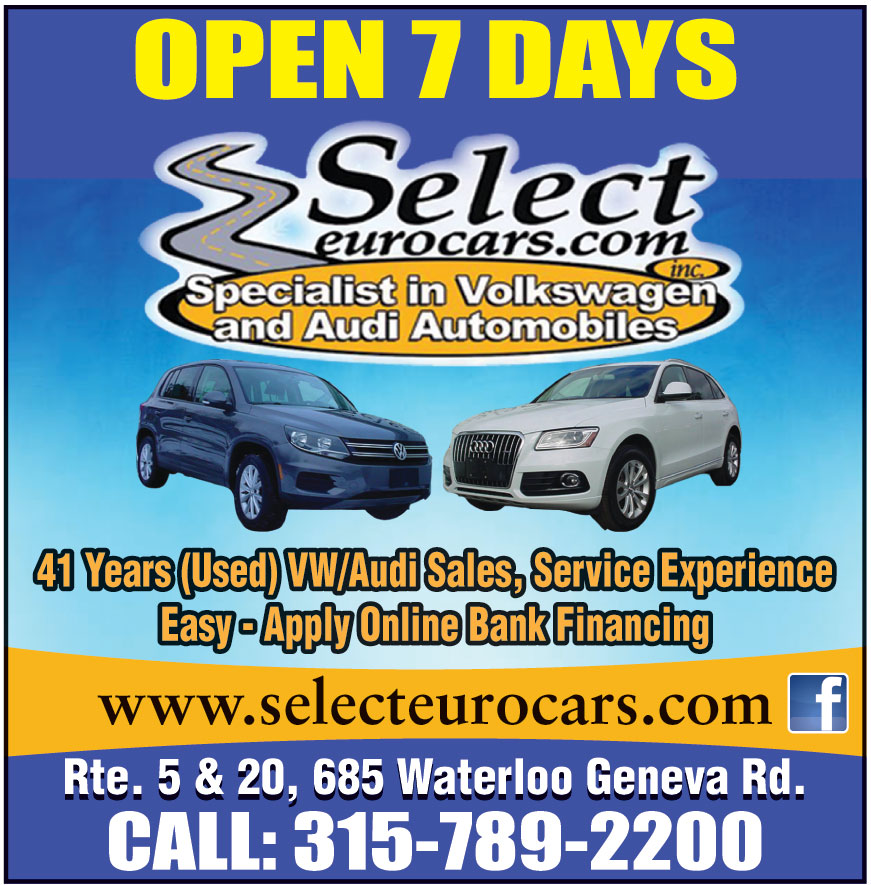SELECT EUROCARS INC