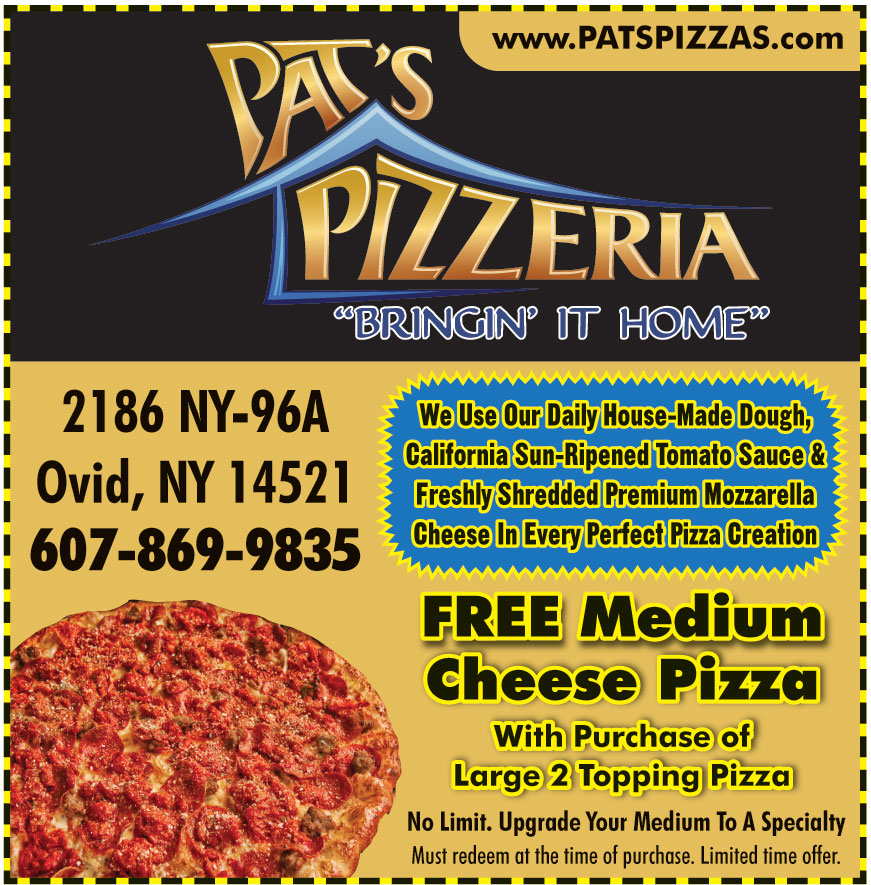 FREE MEDIUM CHEESE PIZZA WITH PURCHASE OF LARGE 2 TOPPING PIZZA   117186 