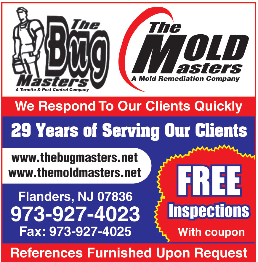 THE BUG MASTERS THE MOLD