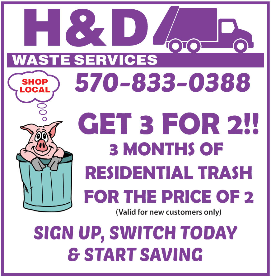 H AND D WASTE SERVICES