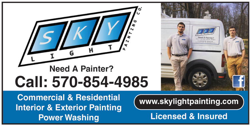 SKYLIGHT PAINTING CO