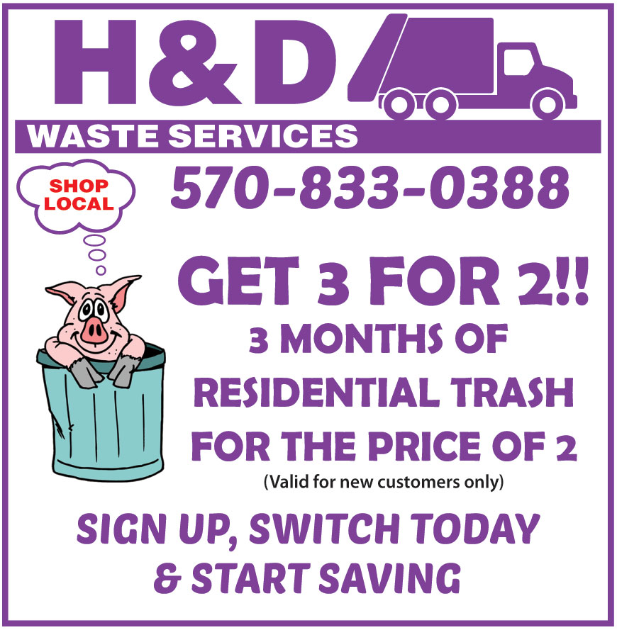 H AND D WASTE SERVICES