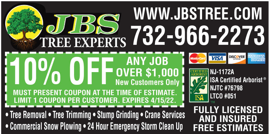 JBS TREE EXPERTS