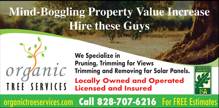 THE ORGANIC TREE SERVICES