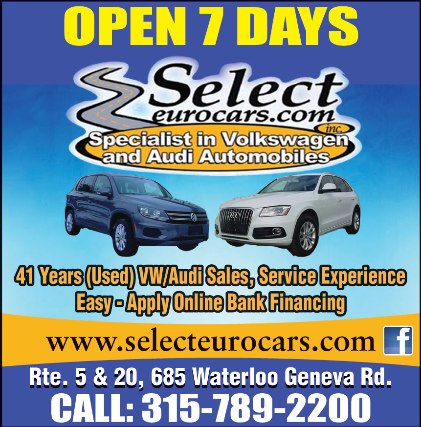 SELECT EUROCARS INC