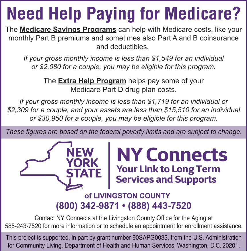 LIVINGSTON COUNTY NEWYORK