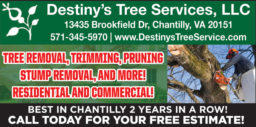 DESTINYS TREE SERVICES