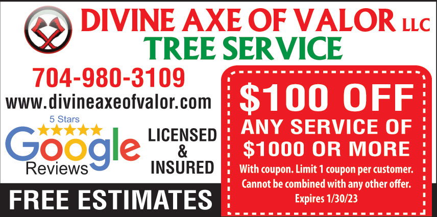 DIVINE AXE OF VALOR LLC