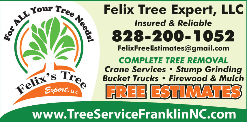 FELIXS TREE SERVICES