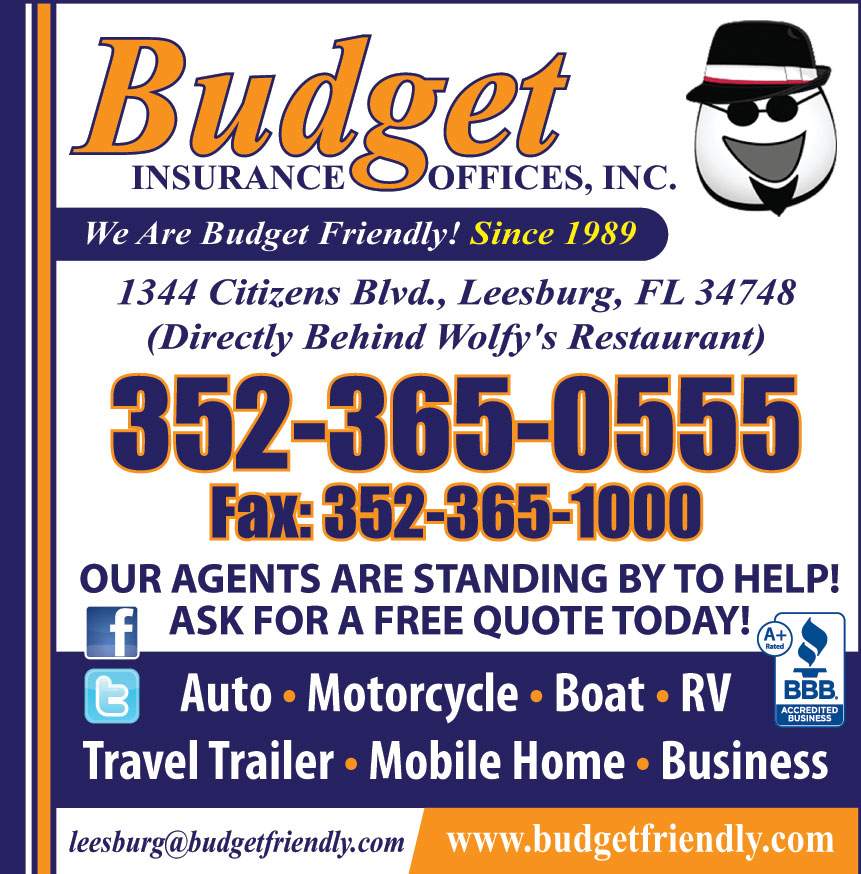 BUDGET INSURANCE OFFICES