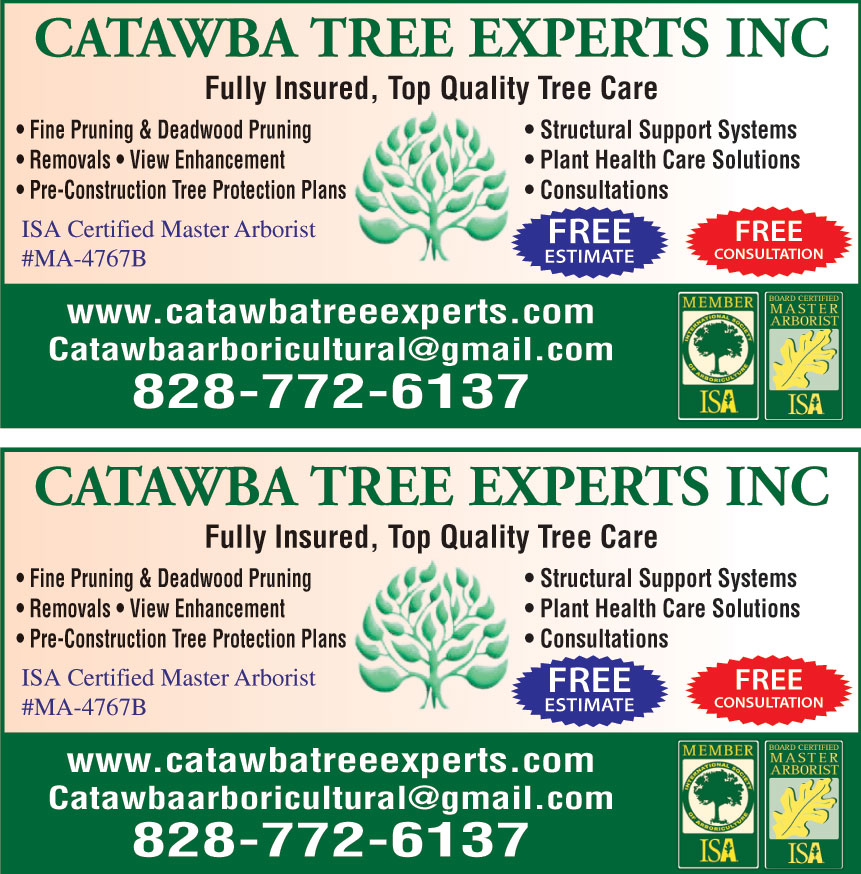 CATAWBA TREE EXPERTS INC