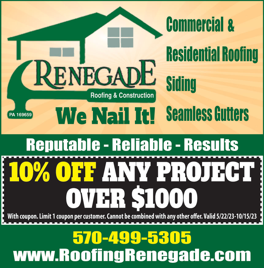 RENEGADE ROOFING AND CONS