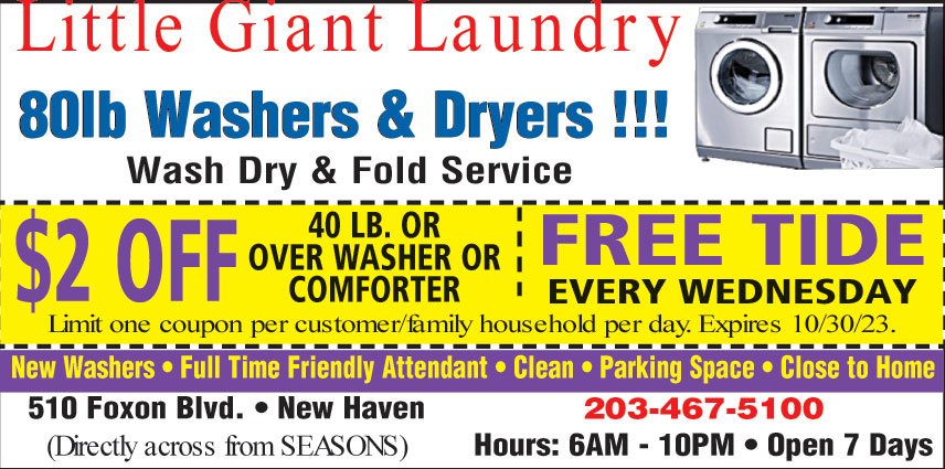 LITTLE GIANT LAUNDRY