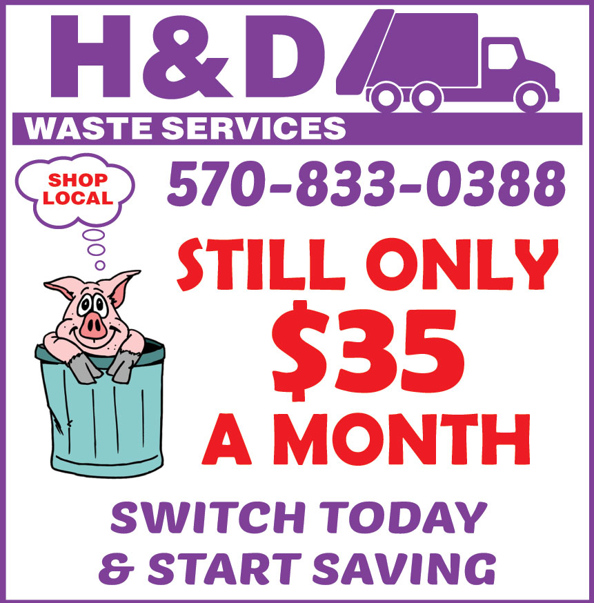 H AND D WASTE SERVICES
