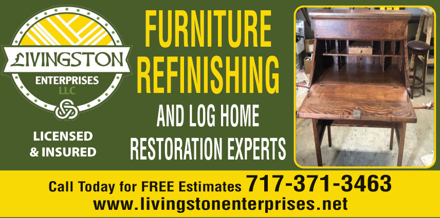 LIVINGSTON ENTERPRISES