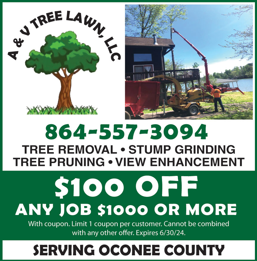 A AND V TREE LAWN LLC