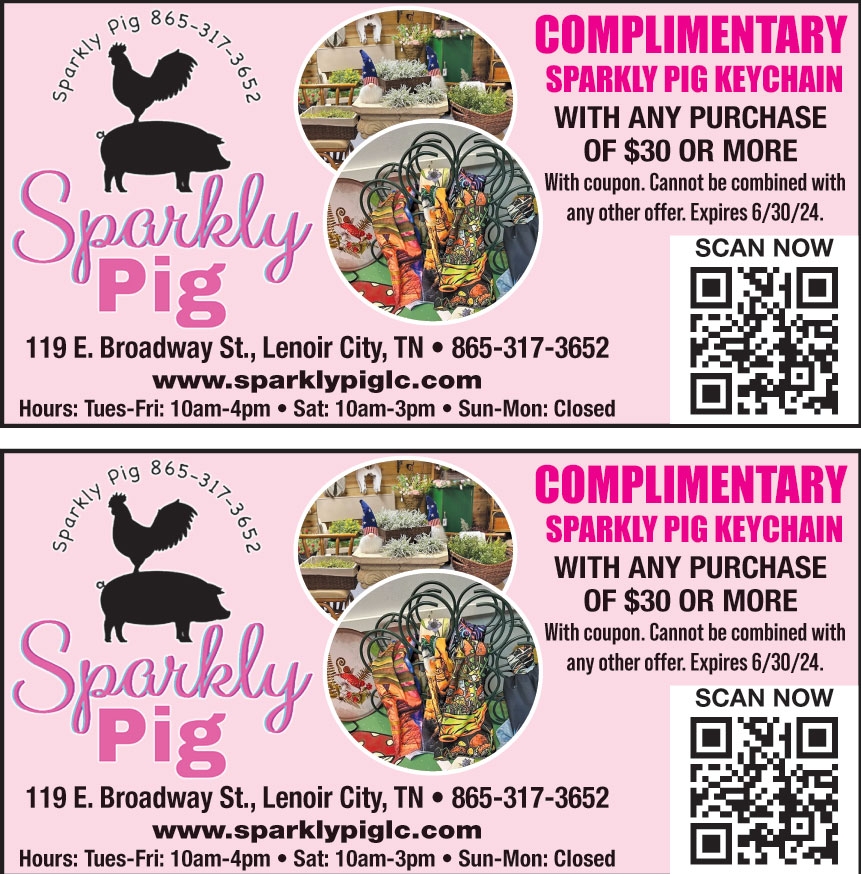 SPARKLY PIG LLC