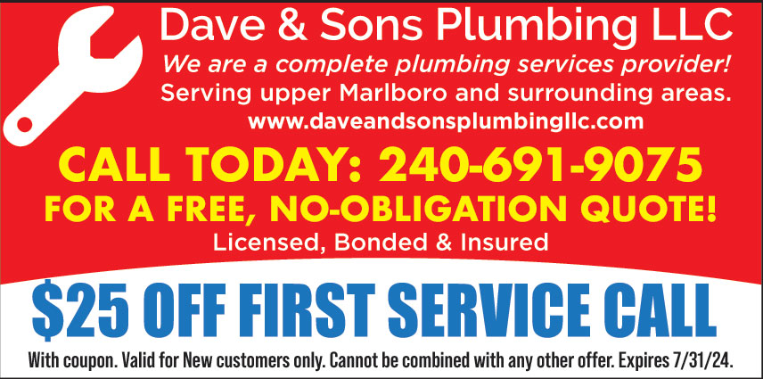 DAVE AND SONS PLUMBING