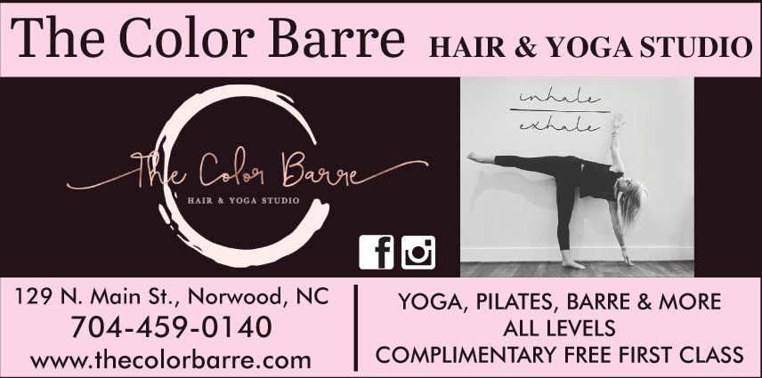 THE COLOR BARRE