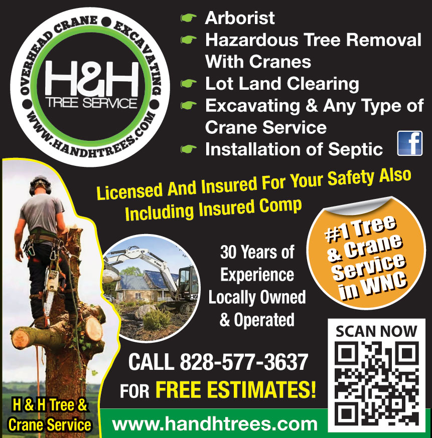 H AND H TREE AND CRANE