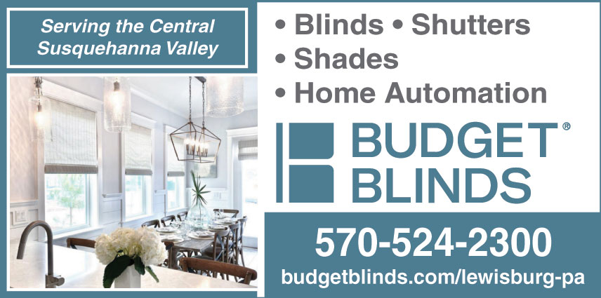 BUDGET BLINDS