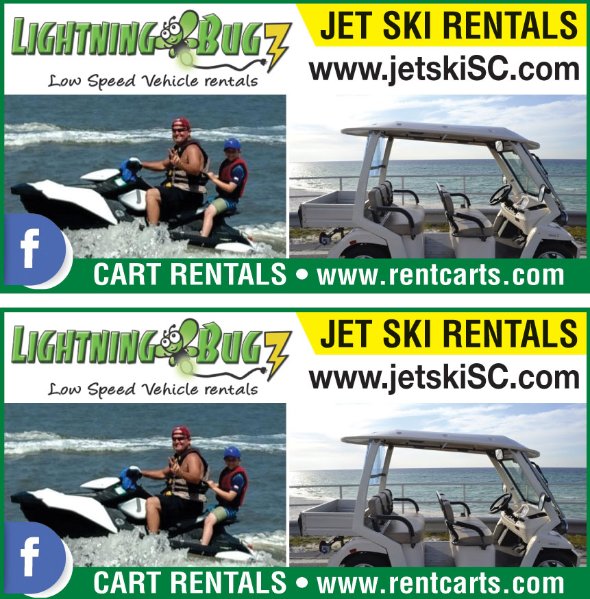 LIGHTNING BUGZ RENTALS