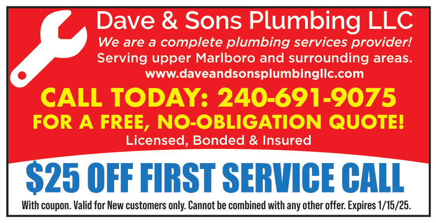 DAVE AND SONS PLUMBING