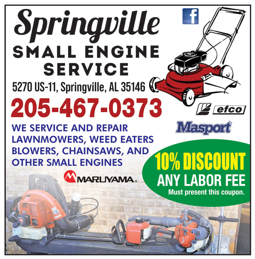 SPRINGVILLE SMALL ENGINE