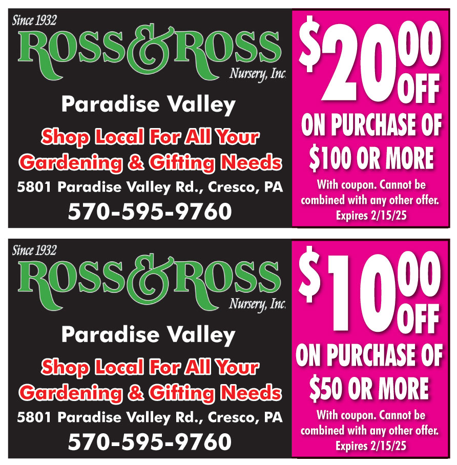 ROSS AND ROSS NURSERY