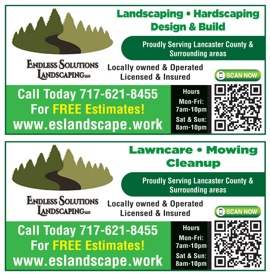 ENDLESS SOLUTIONS LANDSCA