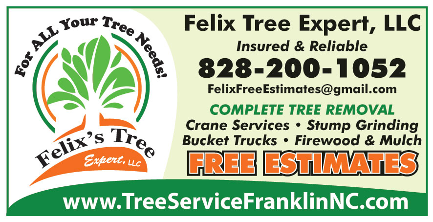 FELIXS TREE SERVICES