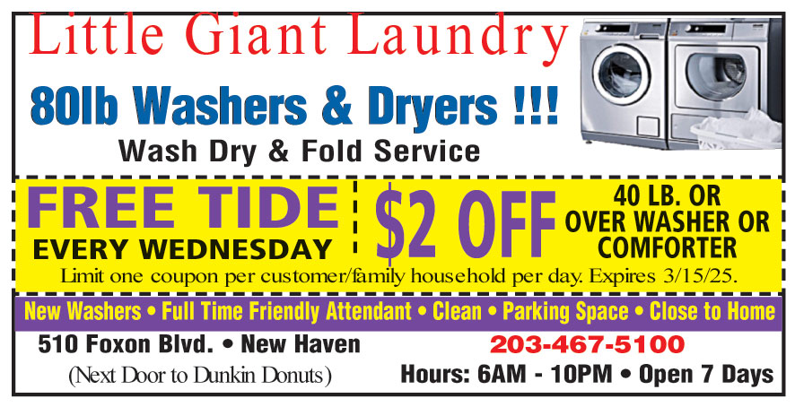 LITTLE GIANT LAUNDRY