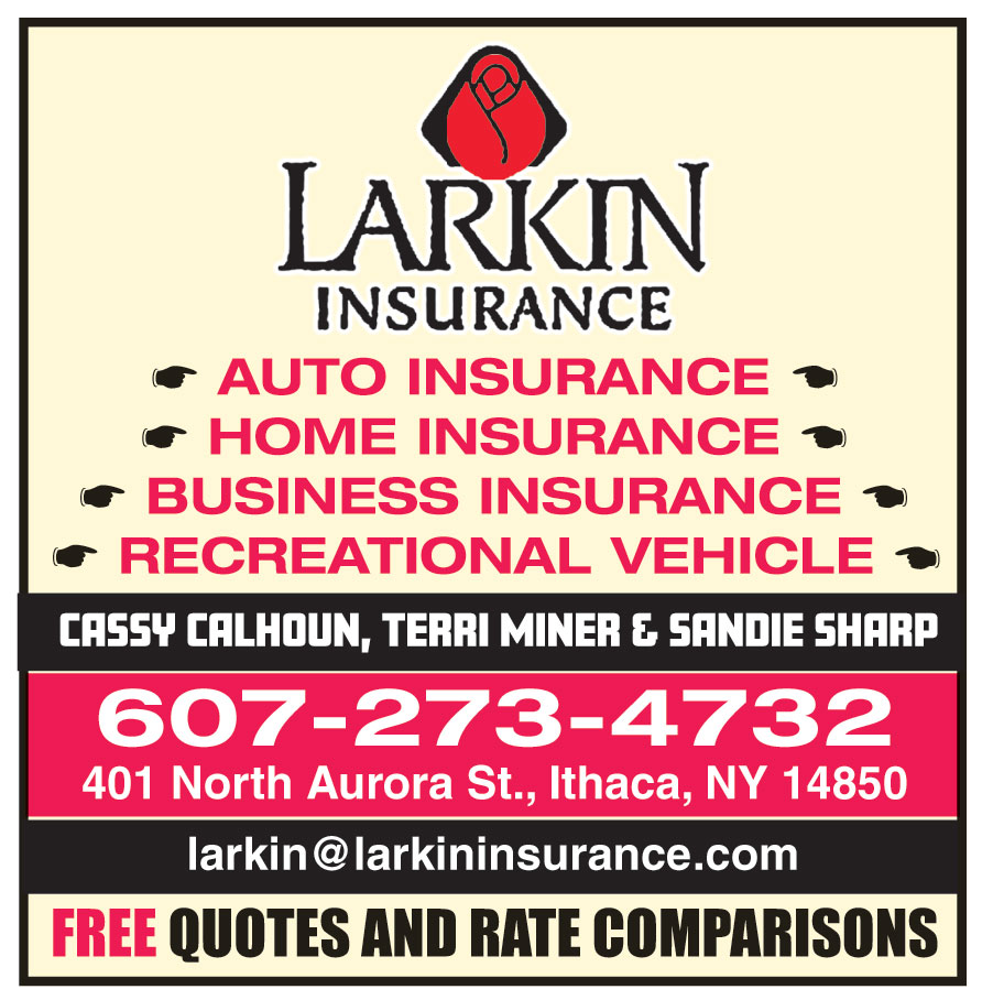 LARKIN INSURANCE