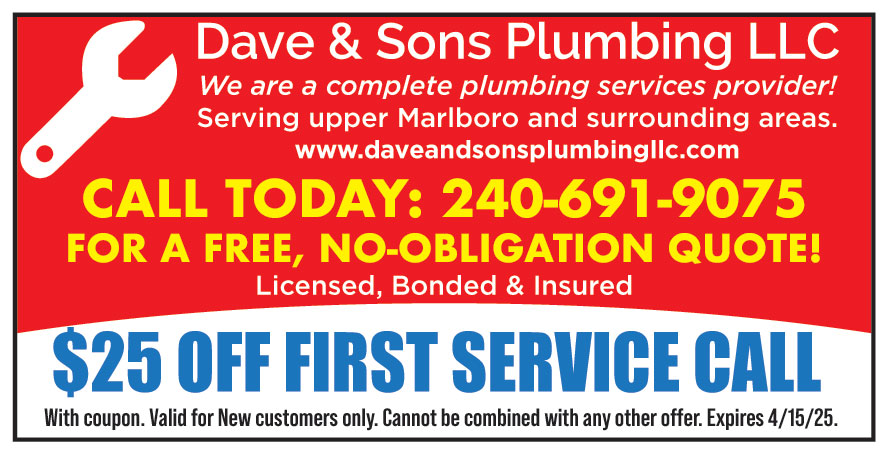 DAVE AND SONS PLUMBING