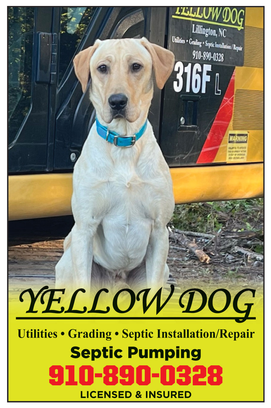 YELLOW DOG