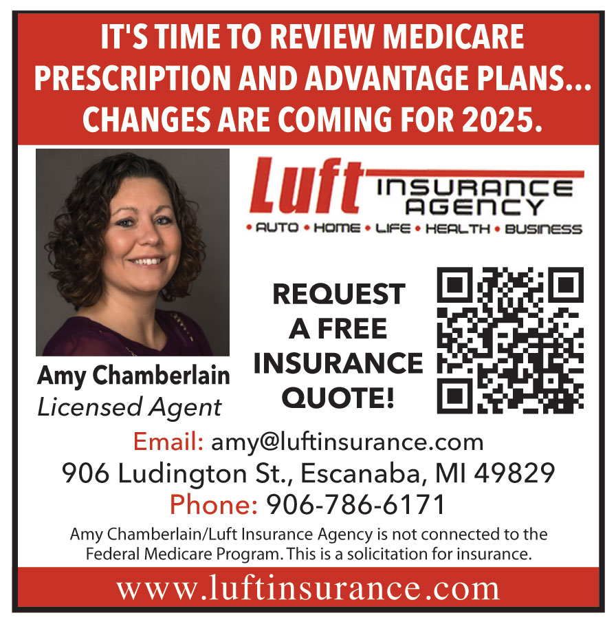 LUFT INSURANCE