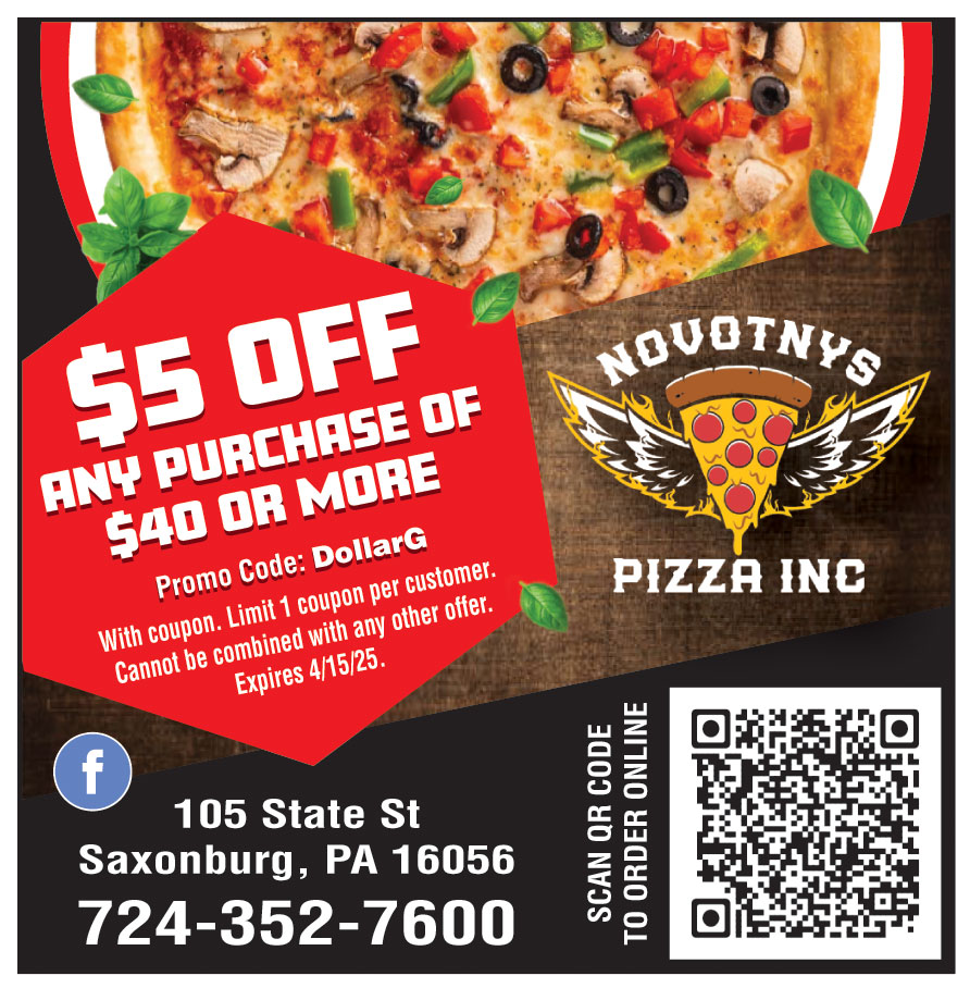 NOVOTNYS PIZZA INC