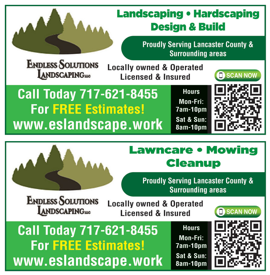 ENDLESS SOLUTIONS LANDSCA