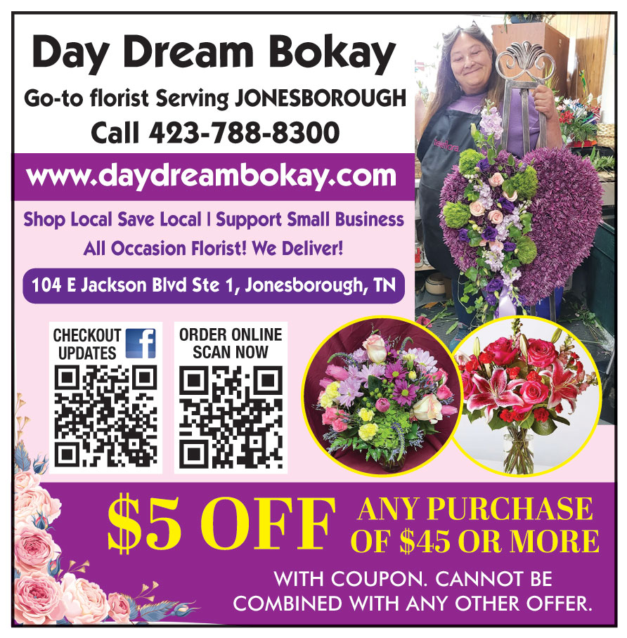 DAY DREAM BOKAY