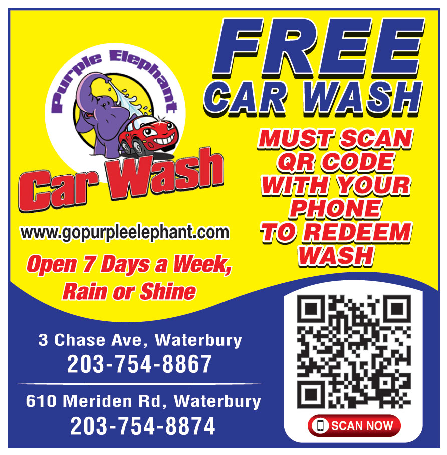 PURPLE ELEPHANT CAR WASH