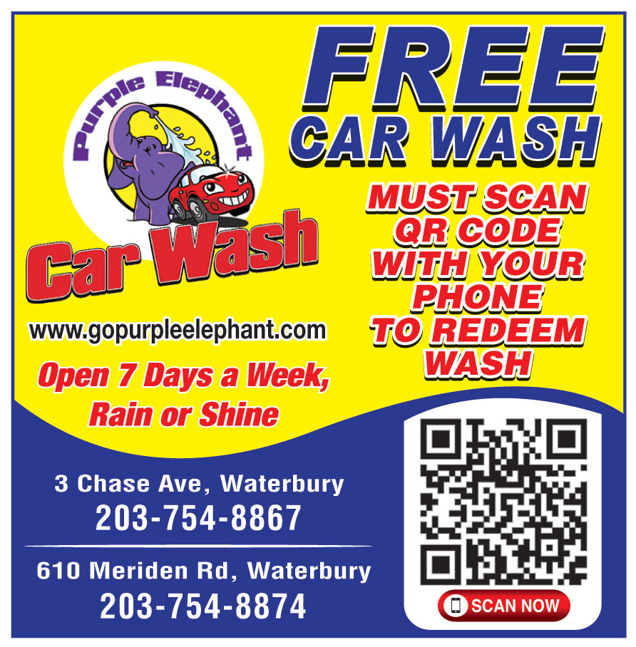 PURPLE ELEPHANT CAR WASH