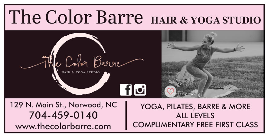 THE COLOR BARRE